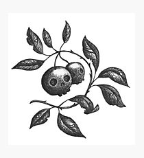 210x230 poison drawing wall art redbubble - Poison Drawing