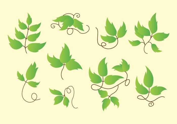 700x490 poison ivy icons - Poison Ivy Plant Drawing