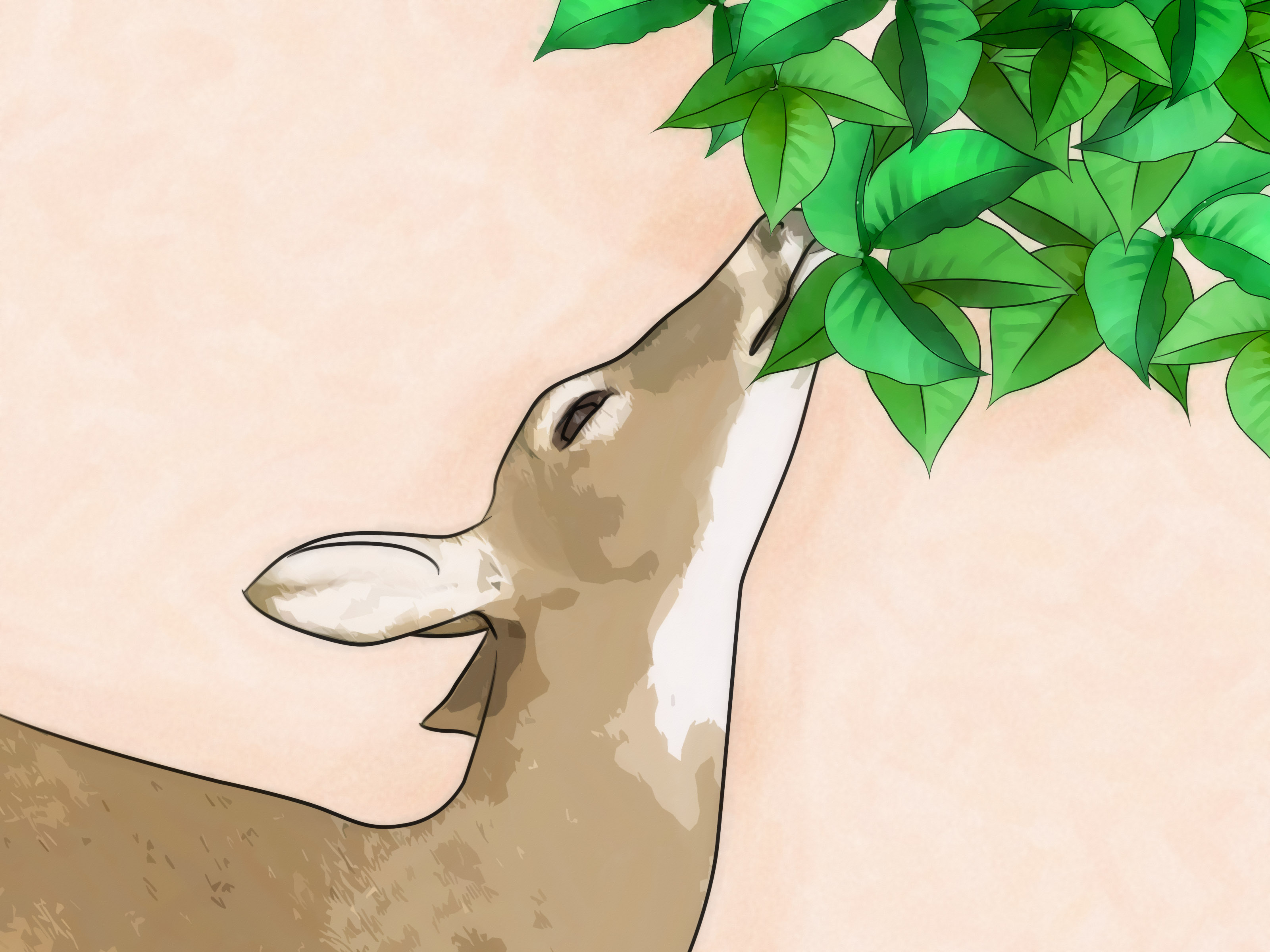 3200x2400 how to identify poison ivy steps - Poison Ivy Plant Drawing