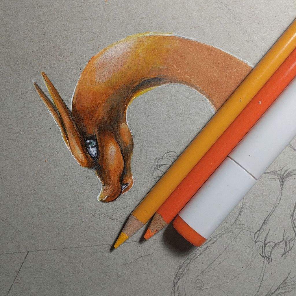 1024x1024 Charizard Amino - Pokemon 3d Drawing