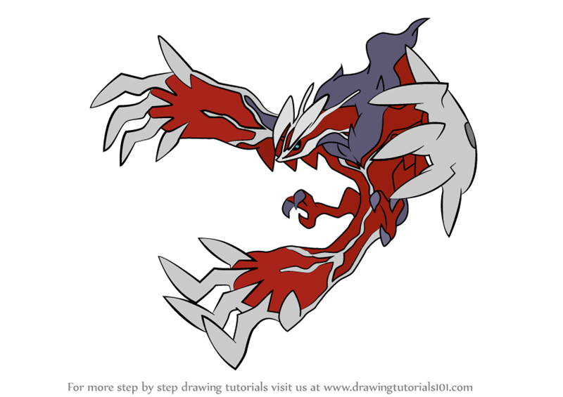 800x565 Learn How To Draw Yveltal From Pokemon - Pokemon Black And White Drawing