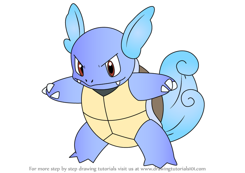 800x565 Learn How To Draw Wartortle From Pokemon - Pokemon Characters Drawing