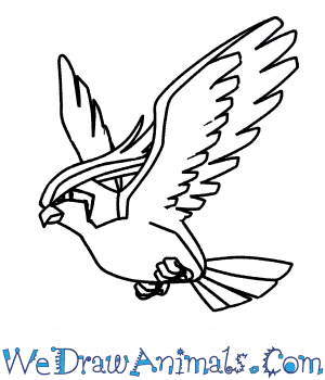 300x350 How To Draw Pidgeot Pokemon - Pokemon Drawing