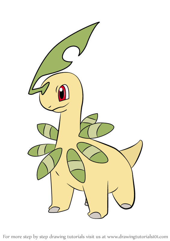 565x800 Learn How To Draw Bayleef From Pokemon - Pokemon Drawing Book