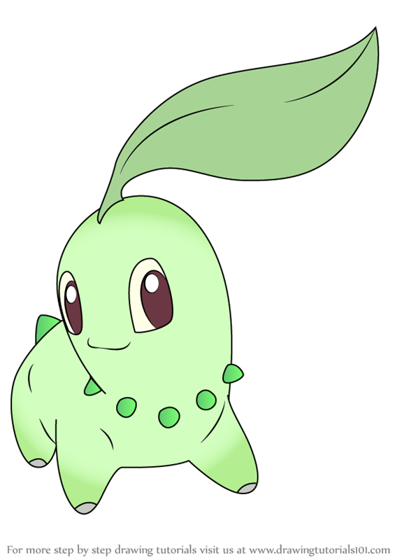 565x800 Learn How To Draw Chikorita From Pokemon - Pokemon Drawing Easy