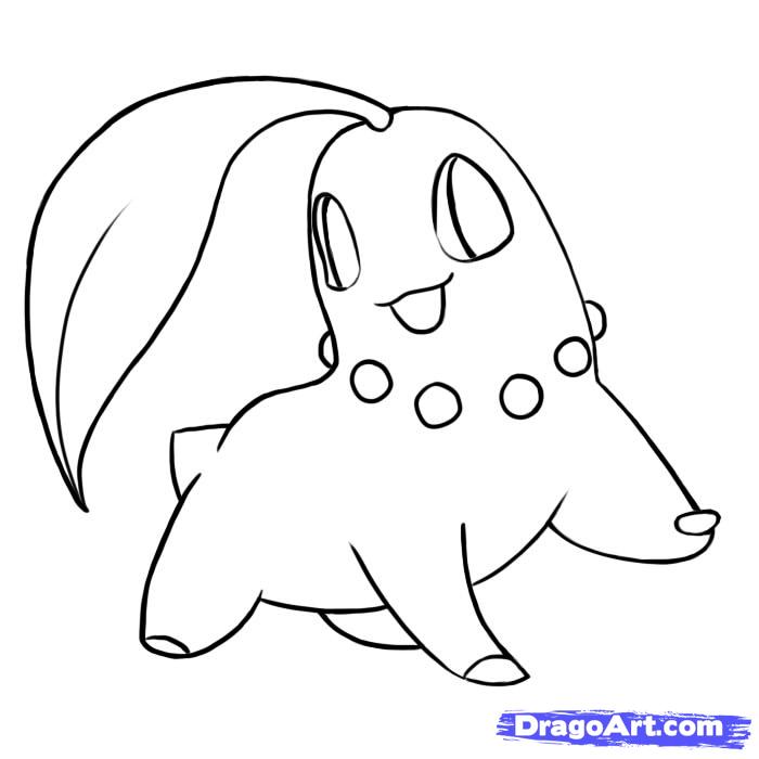 700x700 how to draw chikorita, pokemon, step - Pokemon Drawing Images