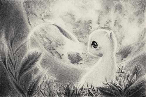 500x334 Pokemon Pencil Drawings And A Few Portraits Forums - Pokemon Pencil Drawing