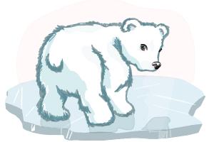 300x200 How To Draw A Baby Polar Bear - Polar Bear Cartoon Drawing