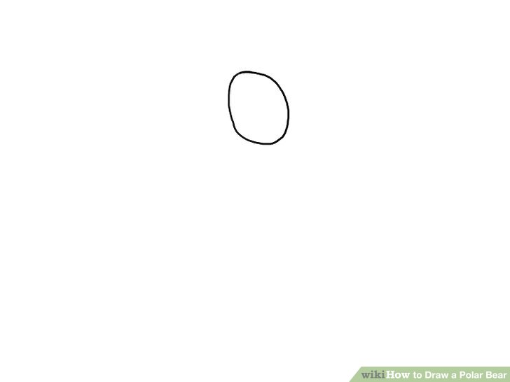 728x546 How To Draw A Polar Bear Steps - Polar Bear Cartoon Drawing