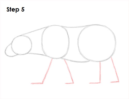 500x386 How To Draw A Polar Bear - Polar Bear Cartoon Drawing