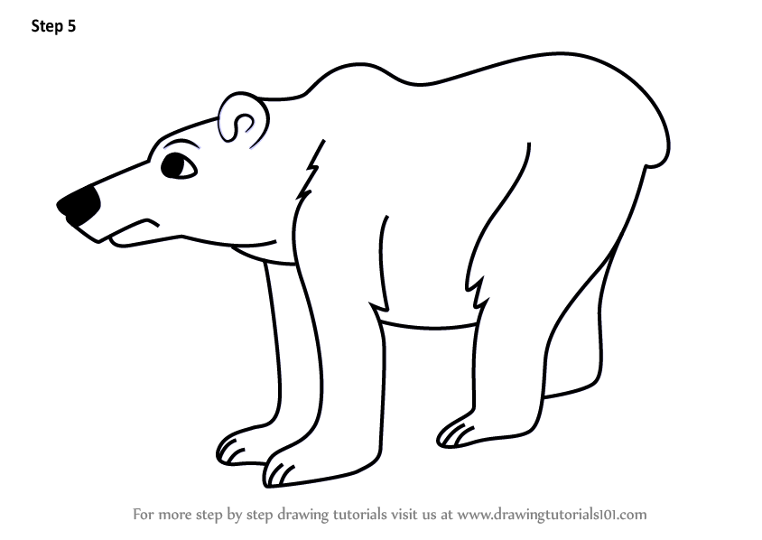 Polar Bear Cartoon Drawing at PaintingValley.com | Explore collection ...