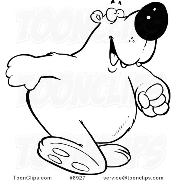 581x600 polar bear curious drawing - Polar Bear Cartoon Drawing