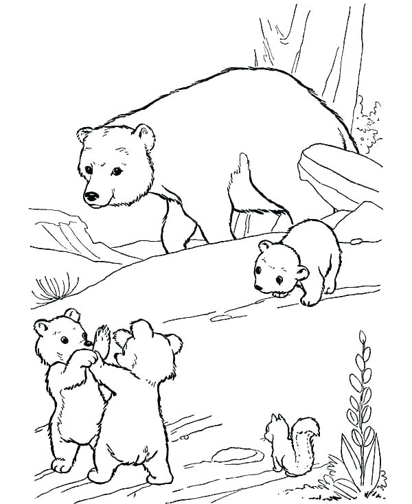 600x734 Polar Bear Coloring Pages Cub Drawing At Free For Personal Use - Polar Bear Cub Drawing