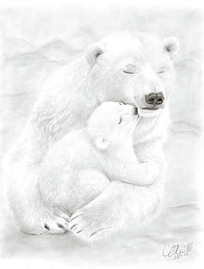 227x300 polar bear cub drawings pixels - Polar Bear Cub Drawing