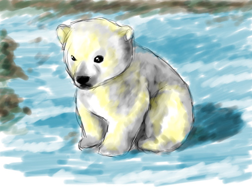 500x375 Polar Bear Cub Discovered - Polar Bear Cub Drawing