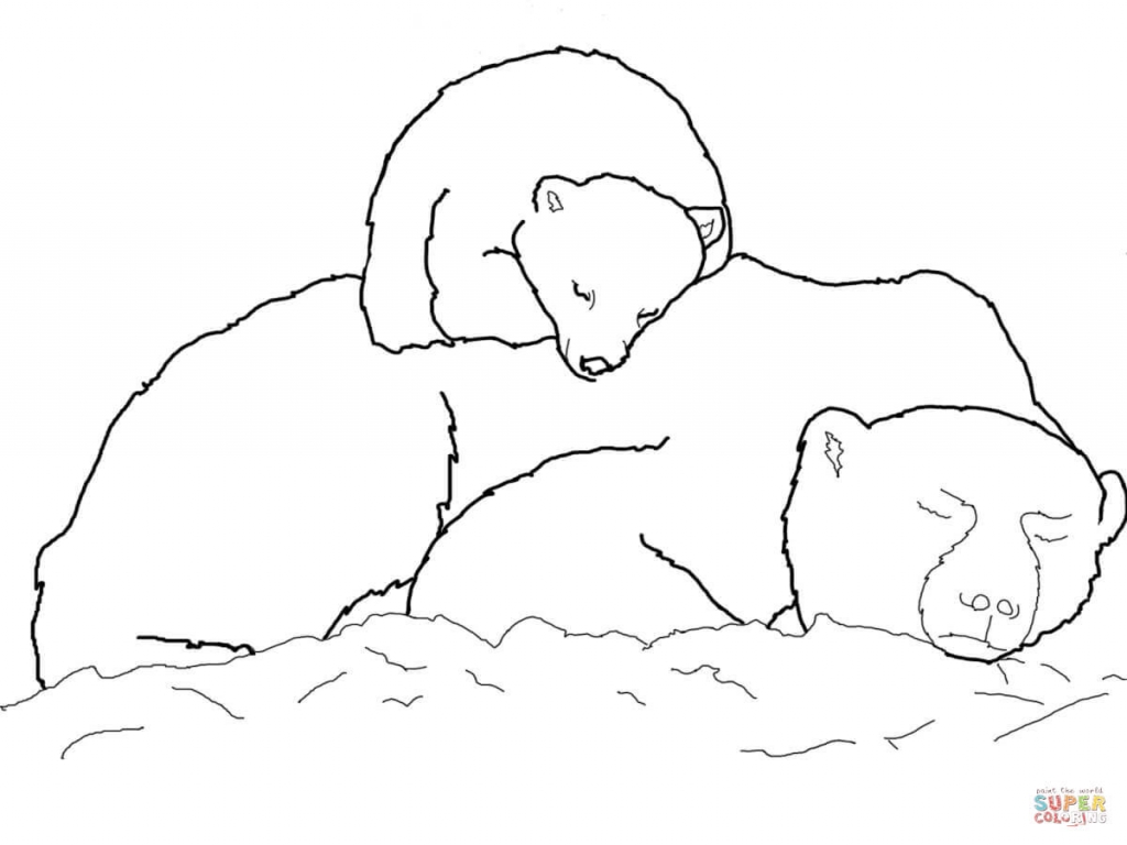 1024x768 Polar Bear Cub Drawing - Polar Bear Cub Drawing