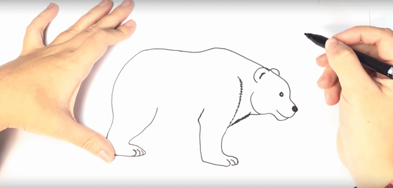 1347x646 How To Draw A Polar Bear For Kids - Polar Bear Drawing