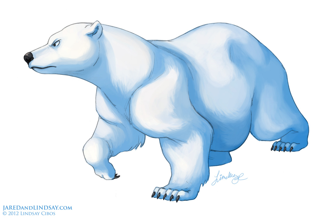 1100x717 Lindsay Cibos' Art Blog How To Draw A Polar Bear - Polar Bear Drawing