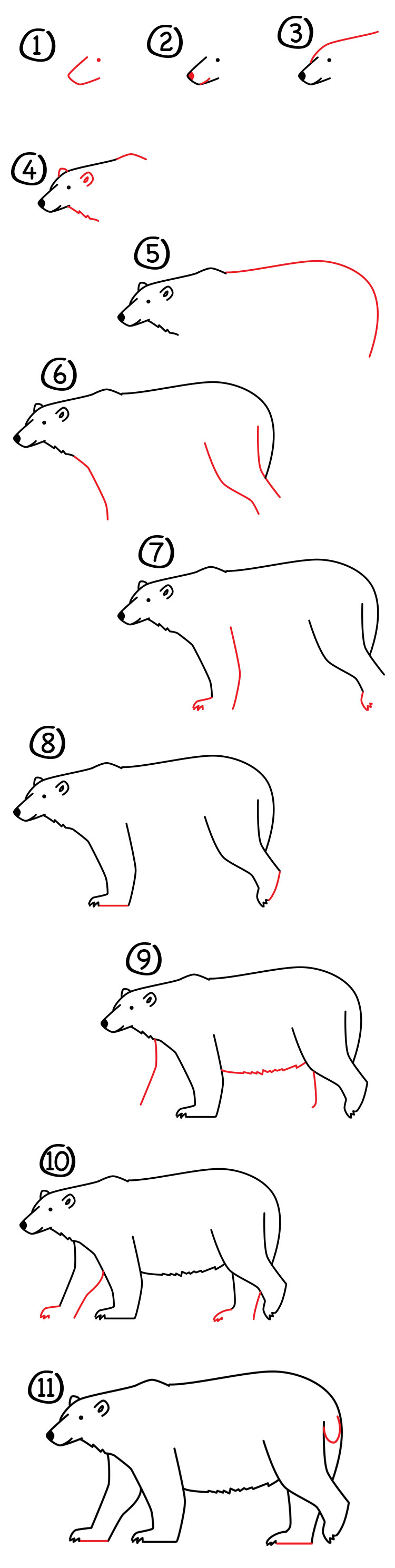 750x2977 How To Draw A Polar Bear - Polar Bear Drawing