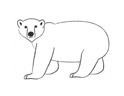 425x329 Classroom Decor Polar Bear Drawing - Polar Bear Drawing