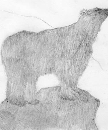 375x452 Solitary Polar Bear Drawing - Polar Bear Drawing