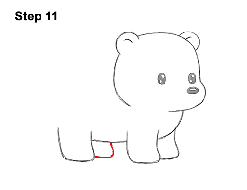 500x386 How To Draw A Polar Bear - Polar Bear Drawing