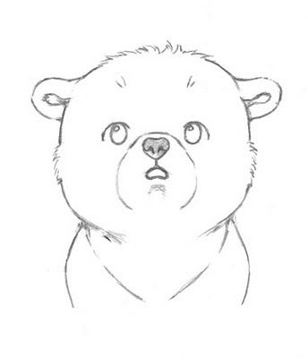 344x400 Cute Polar Bear Sketch Drawing Pictures - Polar Bear Drawing Cute