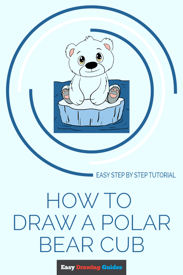 600x900 How To Draw A Polar Bear Cub In A Few Easy Steps Easydrawingguides - Polar Bear Drawing Cute