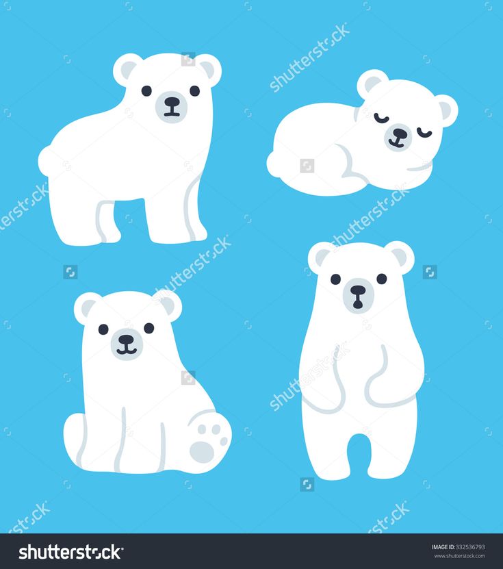 735x831 Cute Polar Bear Drawings - Polar Bear Drawing Cute