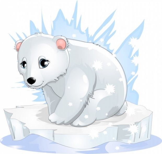 620x592 Cute Animals Cartoon Pictures Free Download Amazing Photos - Polar Bear Drawing Cute
