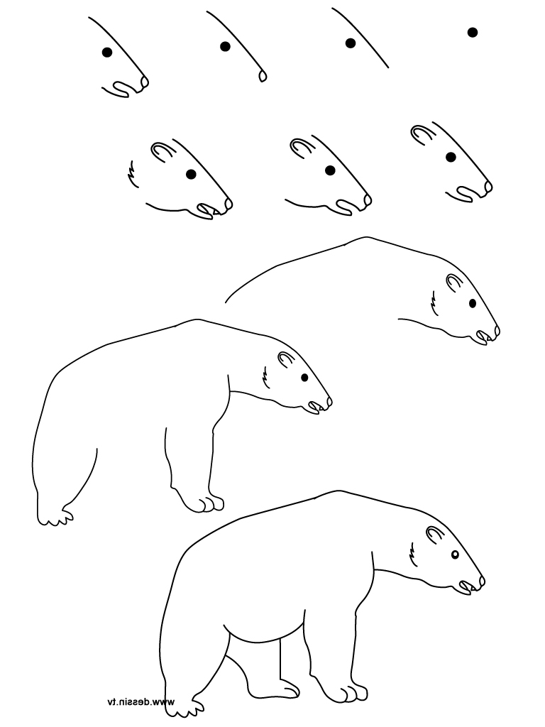 768x1024 easy polar bear drawing easy polar bear drawing at getdrawings - Polar Bear Drawing Easy