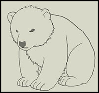 200x189 How To Draw Bears Drawing Tutorials Drawing How To Draw - Polar Bear Drawing Easy