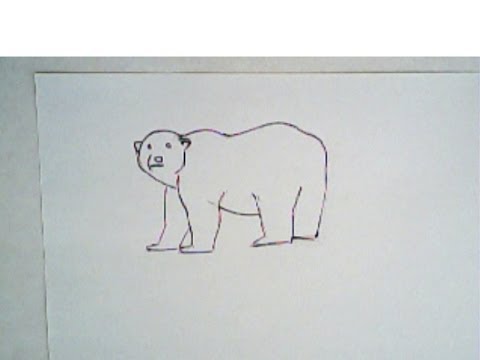480x360 How To Draw A Polar Bear - Polar Bear Drawing Easy