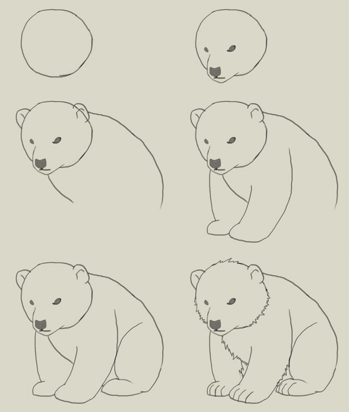 700x826 Aaht Drawings, Art, Bear Drawing - Polar Bear Drawing Easy