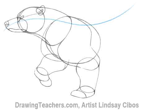 500x357 Cartoon Polar Bear - Polar Bear Drawing Easy