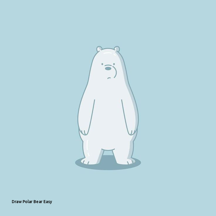 736x736 draw polar bear easy the best we bare bears images - Polar Bear Drawing Easy