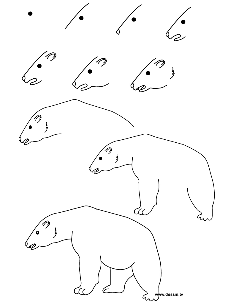 768x1024 Drawing Polar Bear - Polar Bear Drawing Easy