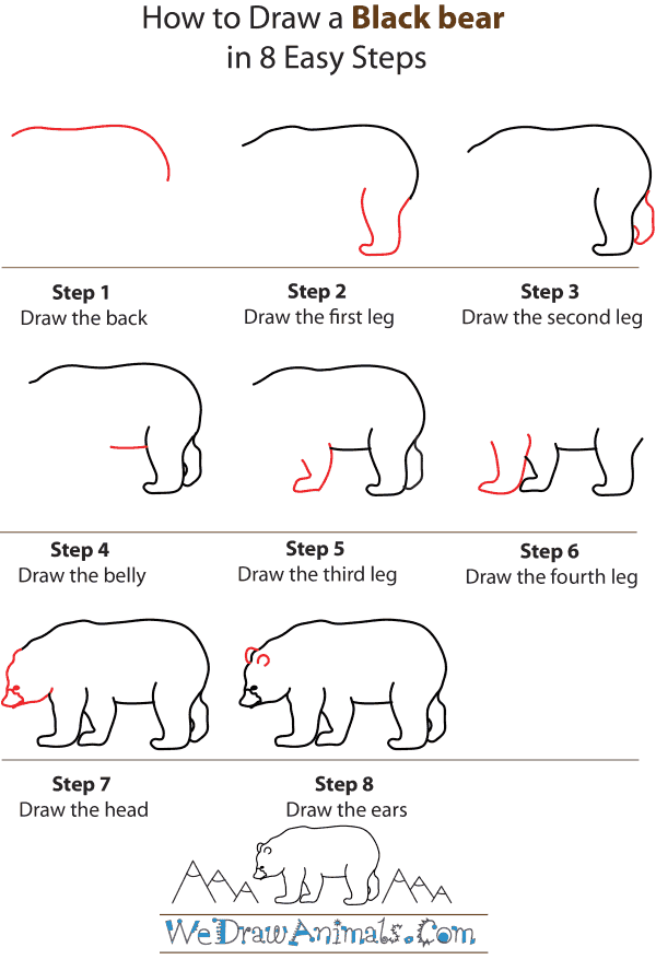 Polar Bear Drawing Step By Step at Explore