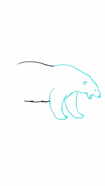 215x382 How To Draw Polar Bear, Animals Easy Step - Polar Bear Drawing Step By Step