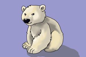 300x200 How To Draw A Polar Bear For Kids - Polar Bear Drawing Step By Step