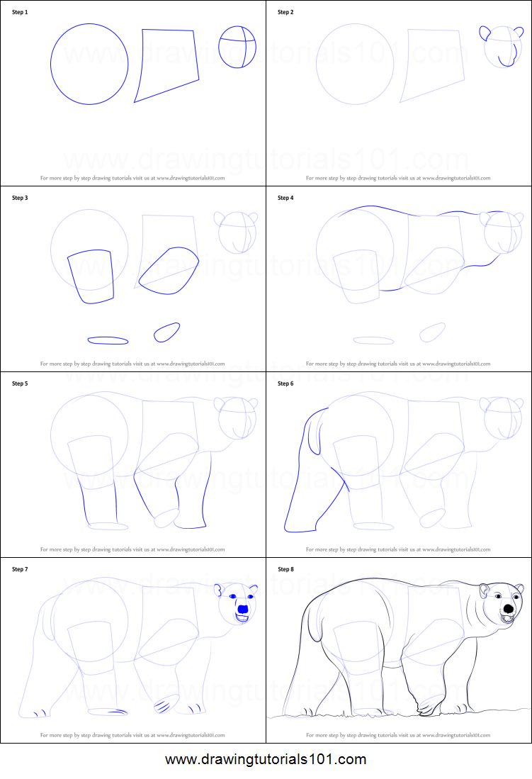 751x1099 How To Draw A Polar Bear Printable Step - Polar Bear Drawing Step By Step