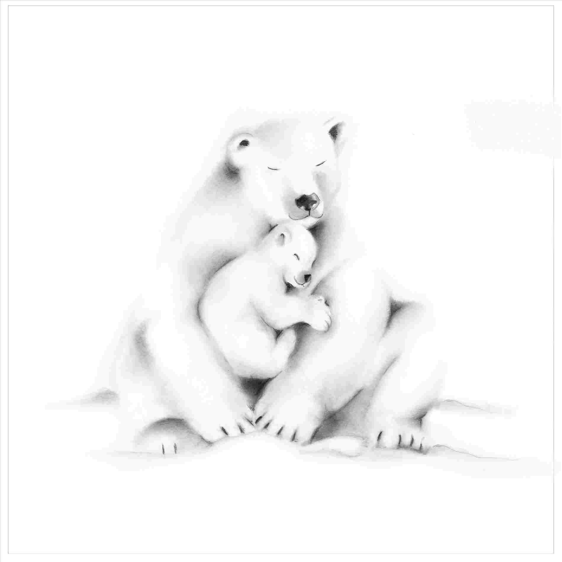 1899x1899 Polar Bears Drawing - Polar Bear Drawing Step By Step