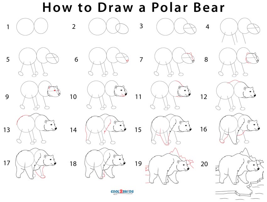 850x644 Polar Bear Drawing For Kids - Polar Bear Drawing Step By Step