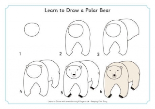 320x226 Polar Bear Drawing Template - Polar Bear Drawing Step By Step