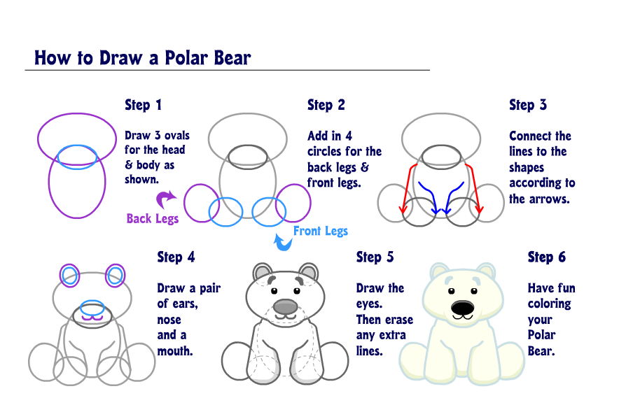 884x599 How To Draw A Bear Step - Polar Bear Drawing Step By Step