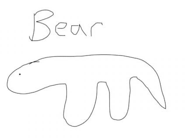 640x480 Drawn Polar Bear Face - Polar Bear Face Drawing