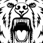 150x150 how to draw a grizzly bear with pictures wikihow how to draw - Polar Bear Face Drawing