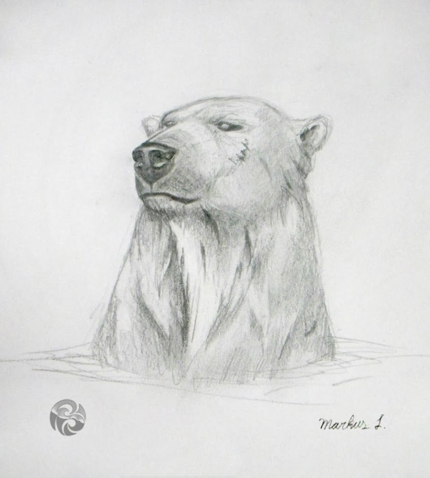 Polar Bear Face Drawing at Explore collection of