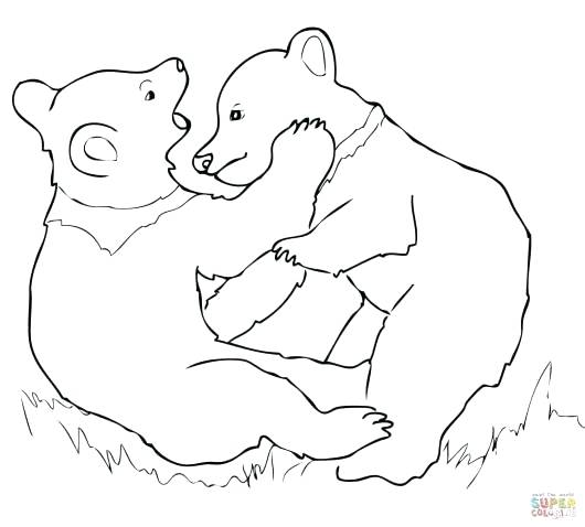 530x478 Simple Bear Simple Bearded Dragon Drawing Thenineties Club - Polar Bear Face Drawing