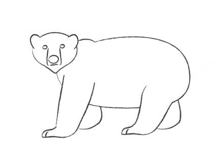425x329 Gallery Pencil Drawings Of Bear Heads - Polar Bear Head Drawing